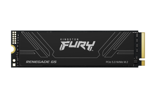 Disco SSD M.2 NVMe Kingston1TB Fury Renegade G5