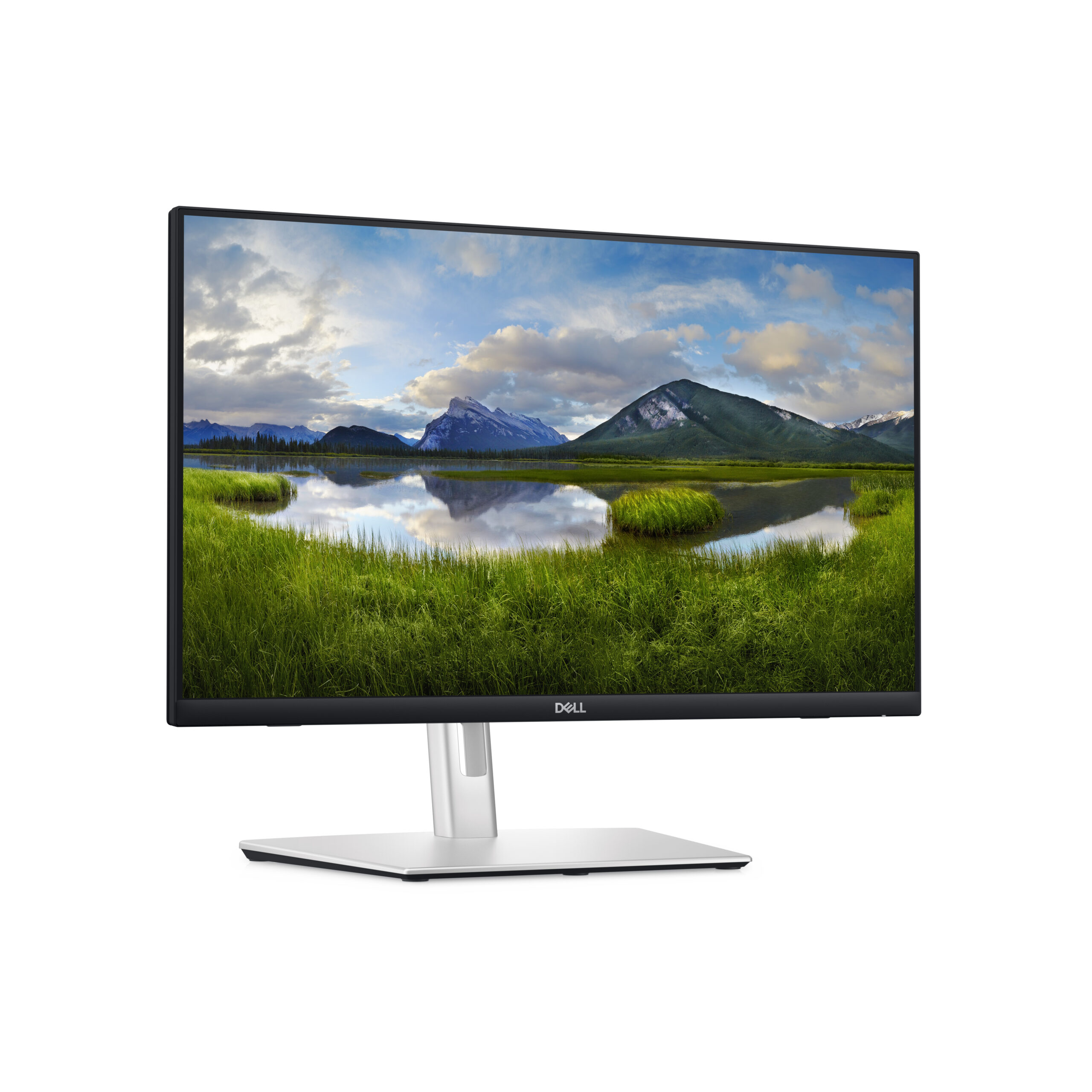 Monitor Dell P2424HT Touch 24" FullHD 1920 x 1080 60 Hz IPS 300 cd/m² 1000:1 5 ms HDMI DisplayPort USB-C Colunas