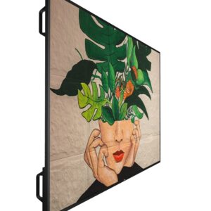 Monitor Profissional Philips 65" UHD 4K 500CD 24/7 Android