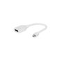 Adaptador Mini DisplayPort para DisplayPort Branco