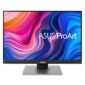 Monitor Profissional Asus ProArt Display PA248QV 24.1