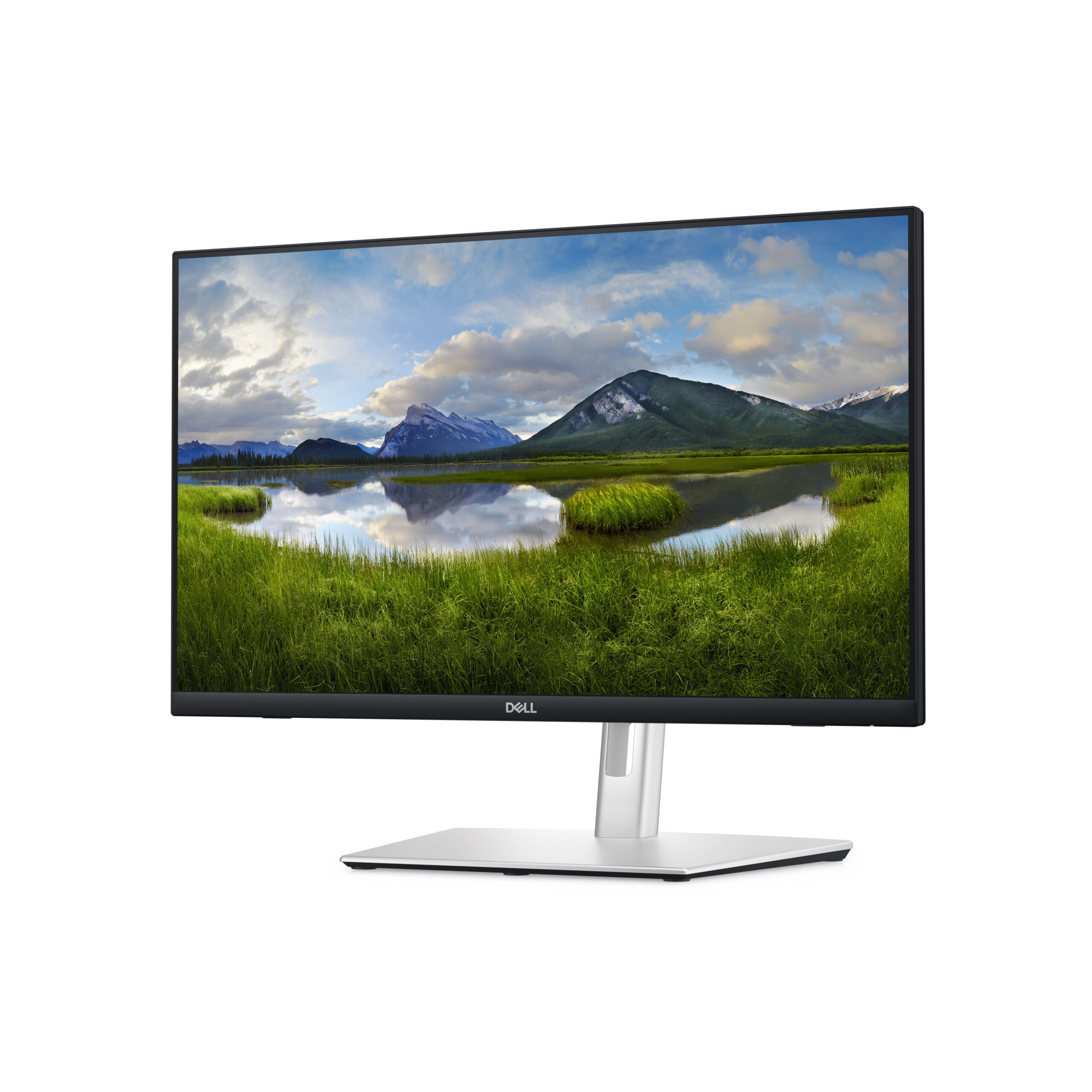 Monitor Dell P2424HT Touch 24" FullHD 1920 x 1080 60 Hz IPS 300 cd/m² 1000:1 5 ms HDMI DisplayPort USB-C Colunas